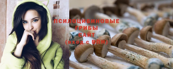 сатива Краснослободск
