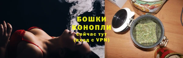 сатива Краснослободск