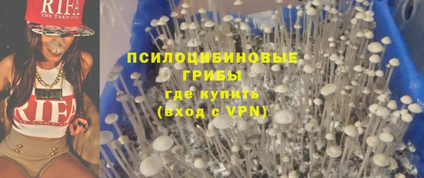 PSILOCYBIN Арсеньев