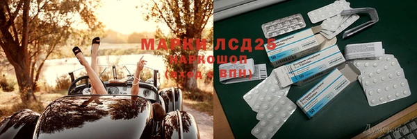 сатива Краснослободск